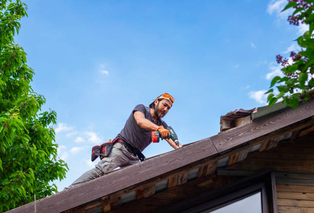 Best Gutter Installation and Repair  in Meadow Oaks, FL