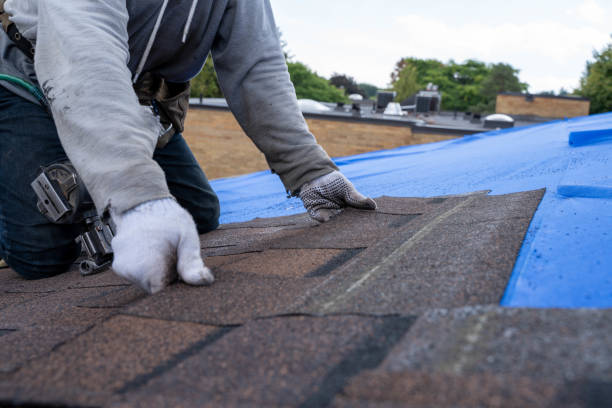 Best Roof Coating and Sealing  in Meadow Oaks, FL