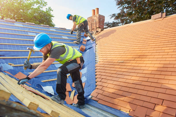 Best Gutter Installation and Repair  in Meadow Oaks, FL